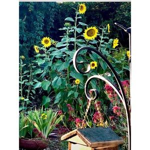 WHATEVER YOU ARE, BE A GOOD ONE